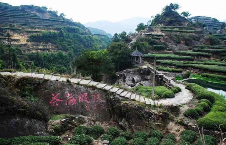 大坪村的介绍，安溪释迦水果种植基地在哪里。 大坪村的介绍，安溪释迦水果种植基地在哪里。 家禽养殖