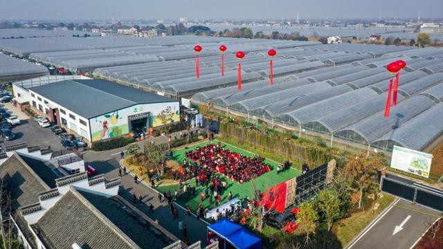 江浙沪秋天适合去哪旅游，南浔本地水果种植基地。 江浙沪秋天适合去哪旅游，南浔本地水果种植基地。 畜牧养殖