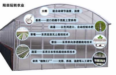 新型农民如何种好田，新型有机水果种植方法有哪些。 新型农民如何种好田，新型有机水果种植方法有哪些。 土壤施肥