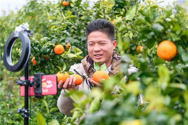 农村二十四五岁的年轻人学什么好，水果种植牛人图片。 农村二十四五岁的年轻人学什么好，水果种植牛人图片。 水果种植