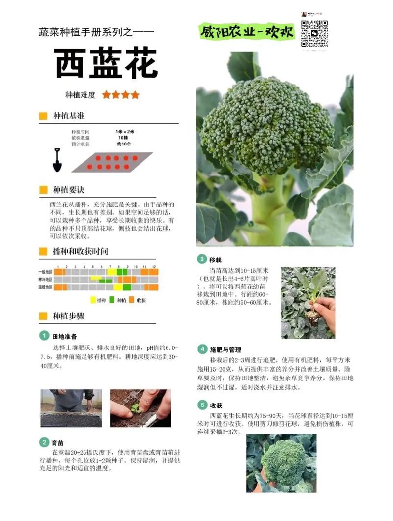 12月份适合种植的蔬菜水果，种植蔬菜水果当时可以卖吗。 12月份适合种植的蔬菜水果，种植蔬菜水果当时可以卖吗。 蔬菜种植