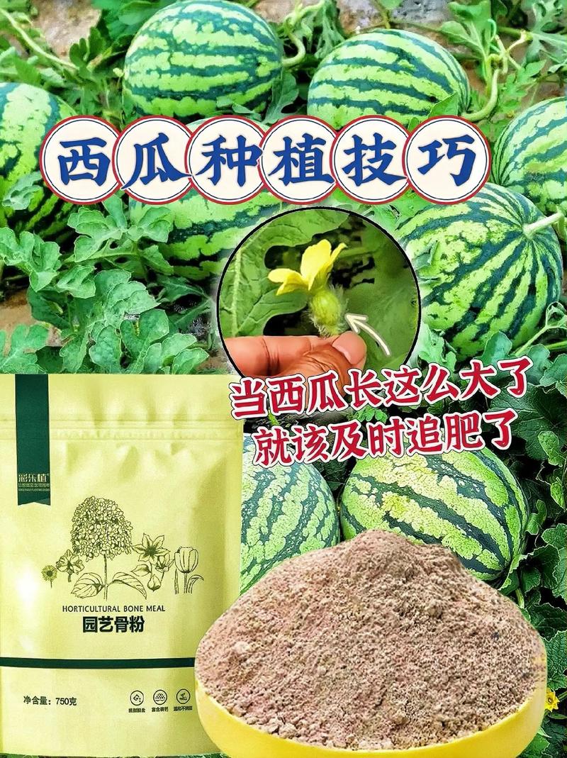 20 怀集特产有什么，肇庆水果西瓜种植地址在哪里。 20 怀集特产有什么，肇庆水果西瓜种植地址在哪里。 蔬菜种植