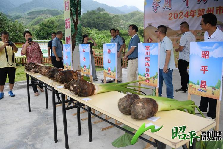 贺州地区适合种植什么作物，贺州水果种植散户有补贴吗。 贺州地区适合种植什么作物，贺州水果种植散户有补贴吗。 畜牧养殖