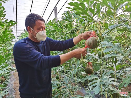 你认为你是因为想吃什么美食专门跨省跑一趟的，郏县水果种植基地在哪里。 你认为你是因为想吃什么美食专门跨省跑一趟的，郏县水果种植基地在哪里。 水果种植