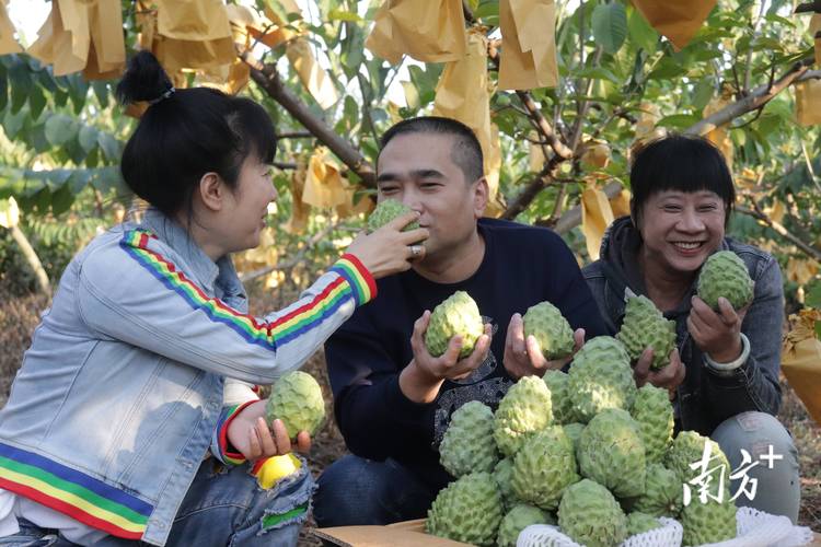 什么样的水果一掐一股水，流水种植水果有哪些。 什么样的水果一掐一股水，流水种植水果有哪些。 蔬菜种植