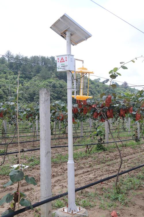 果园地可以建光伏吗，渭南种植水果基地在哪里。 果园地可以建光伏吗，渭南种植水果基地在哪里。 土壤施肥