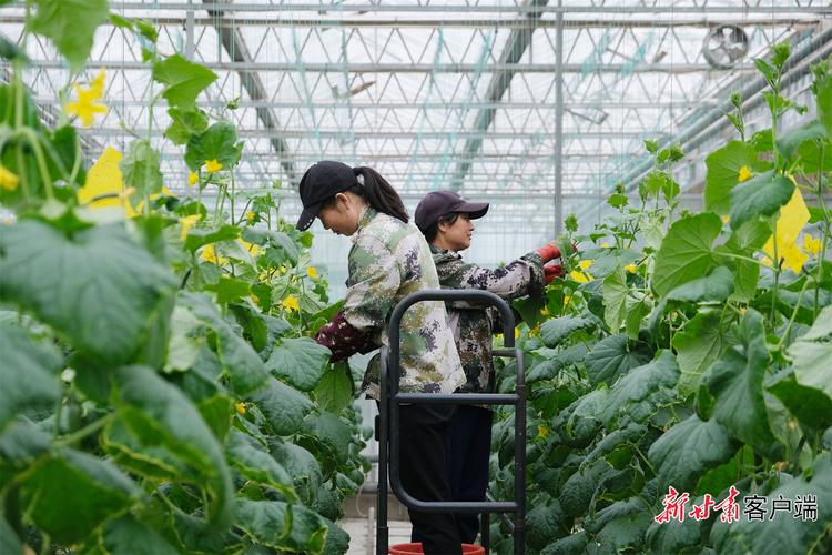 在农业领域中，你最看好种植业还是养殖业？为什么，种植药材还是种植水果好。 在农业领域中，你最看好种植业还是养殖业？为什么，种植药材还是种植水果好。 土壤施肥