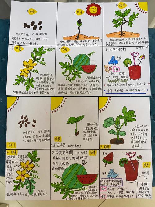 上古水果怎么在温室种植，水果的种植与生长过程。 上古水果怎么在温室种植，水果的种植与生长过程。 家禽养殖