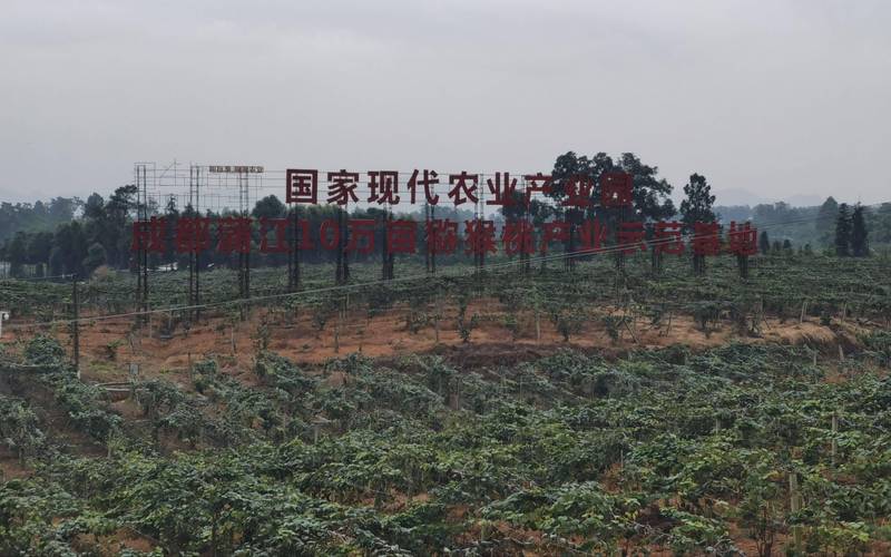 成都周边哪里有水果种植基地，水果种植基地的介绍词。 成都周边哪里有水果种植基地，水果种植基地的介绍词。 土壤施肥