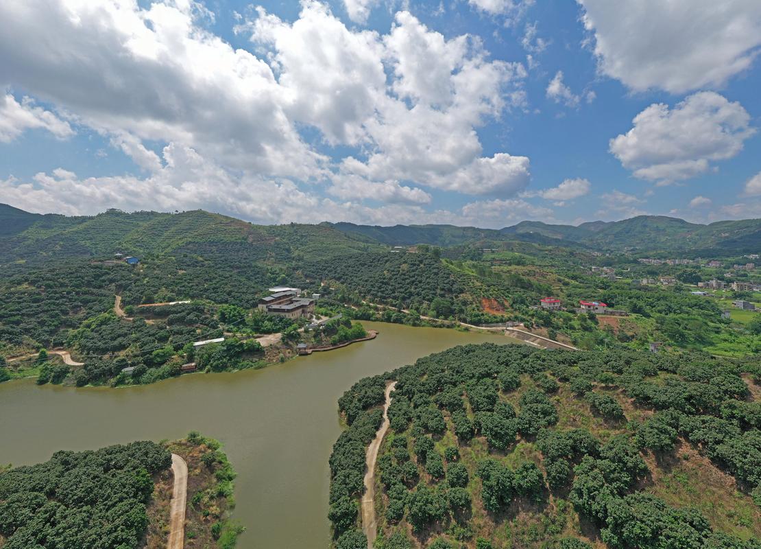 广西水果那么多，哪些地方种植地出名呢，野生水果种植基地在哪里。 广西水果那么多，哪些地方种植地出名呢，野生水果种植基地在哪里。 畜牧养殖