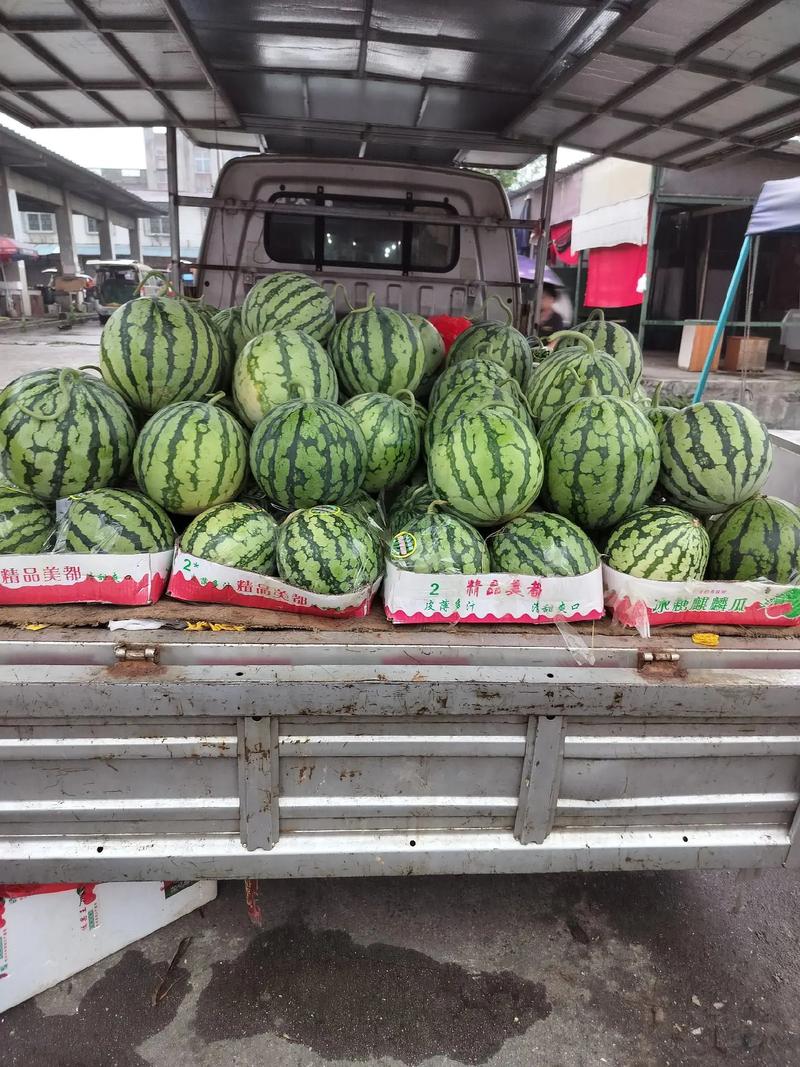 摆地摊卖水果怎么样，可以做吗，种植水果摆地摊赚钱吗。 摆地摊卖水果怎么样，可以做吗，种植水果摆地摊赚钱吗。 家禽养殖