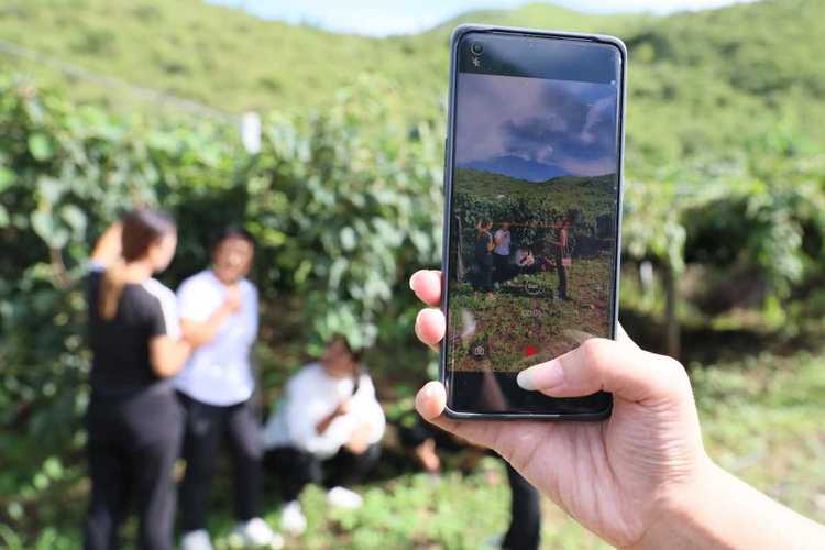 农村种植果农，想做电商，怎么搭建销售渠道？比如说平台什么之类的，水果种植基地建设内容怎么写。 农村种植果农，想做电商，怎么搭建销售渠道？比如说平台什么之类的，水果种植基地建设内容怎么写。 畜牧养殖