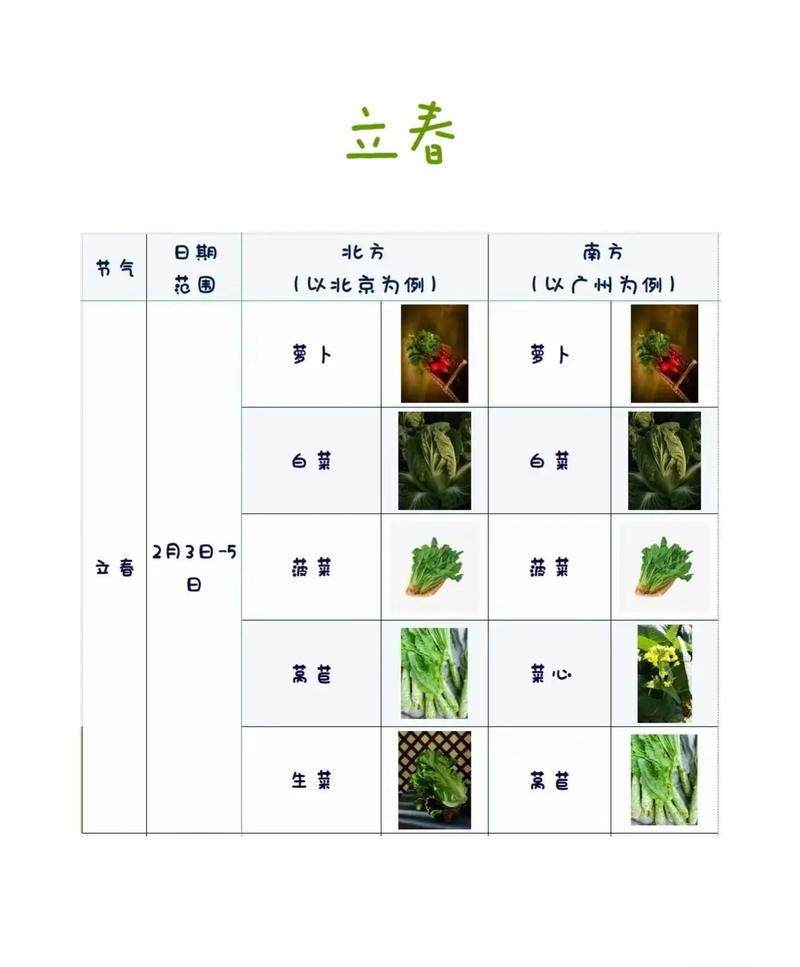 2020年春季适合播种哪些蔬菜，蔬菜种植注意事项又有哪些呢，。 2020年春季适合播种哪些蔬菜，蔬菜种植注意事项又有哪些呢，。 家禽养殖