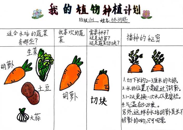 怎么种蔬菜和水果，种植花木水果技术方案怎么写。 怎么种蔬菜和水果，种植花木水果技术方案怎么写。 蔬菜种植