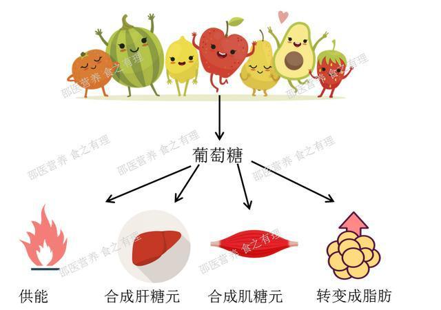 水果加糖发酵的原理，种植水果放糖不放盐。 水果加糖发酵的原理，种植水果放糖不放盐。 畜牧养殖