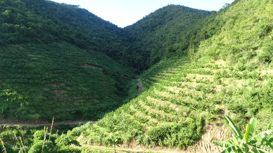 保山市哪里最热，湾甸冬季水果种植时间。 保山市哪里最热，湾甸冬季水果种植时间。 畜牧养殖