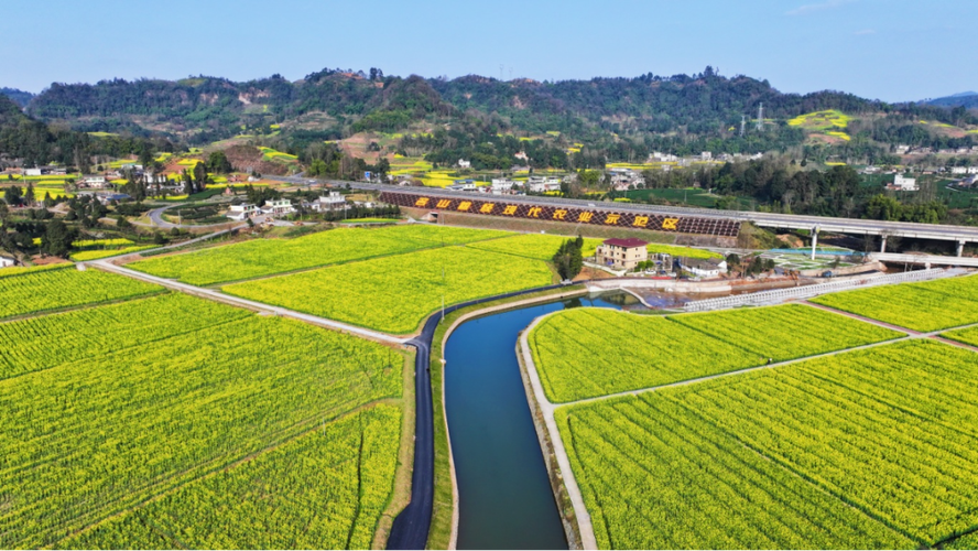 雅安市震后，休闲农业重建的怎么样了，雅安水果种植情况介绍。 雅安市震后，休闲农业重建的怎么样了，雅安水果种植情况介绍。 家禽养殖