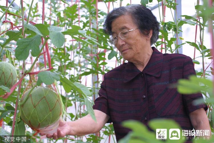 中国水果之父是谁，水果种植之父有哪些人物。 中国水果之父是谁，水果种植之父有哪些人物。 畜牧养殖