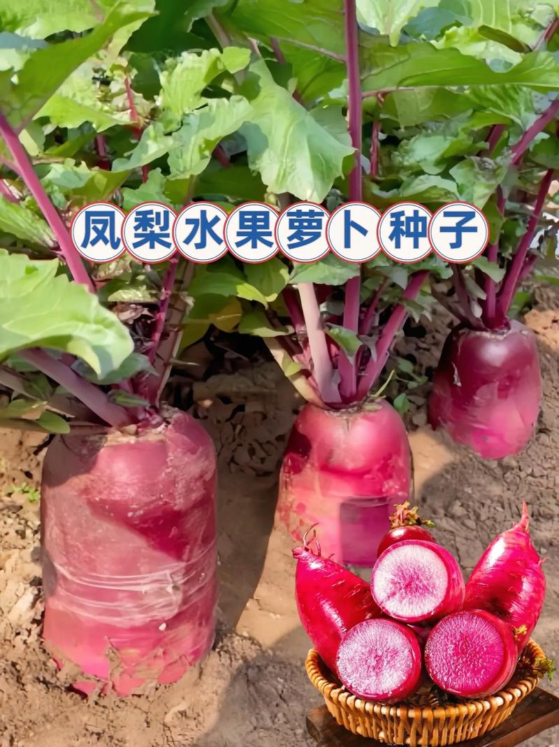 从事蔬菜种植业减免增值税和所得税吗，水果种植免征税吗现在。 从事蔬菜种植业减免增值税和所得税吗，水果种植免征税吗现在。 家禽养殖