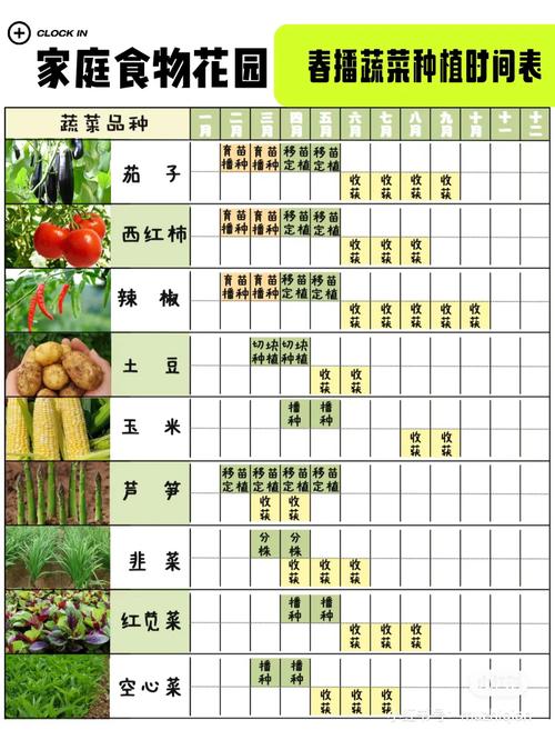 新疆哪里的辣子最好，水果辣椒新疆种植时间表。 新疆哪里的辣子最好，水果辣椒新疆种植时间表。 水果种植