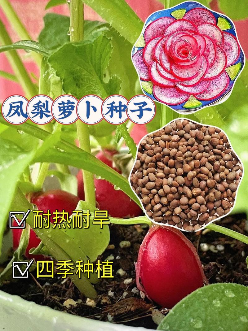 露天菜园可以种植什么，各种水果种子室外种植方法。 露天菜园可以种植什么，各种水果种子室外种植方法。 家禽养殖