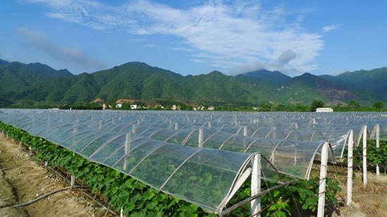 广西上林县有多少个乡镇，上林明亮镇水果种植基地地址。 广西上林县有多少个乡镇，上林明亮镇水果种植基地地址。 畜牧养殖