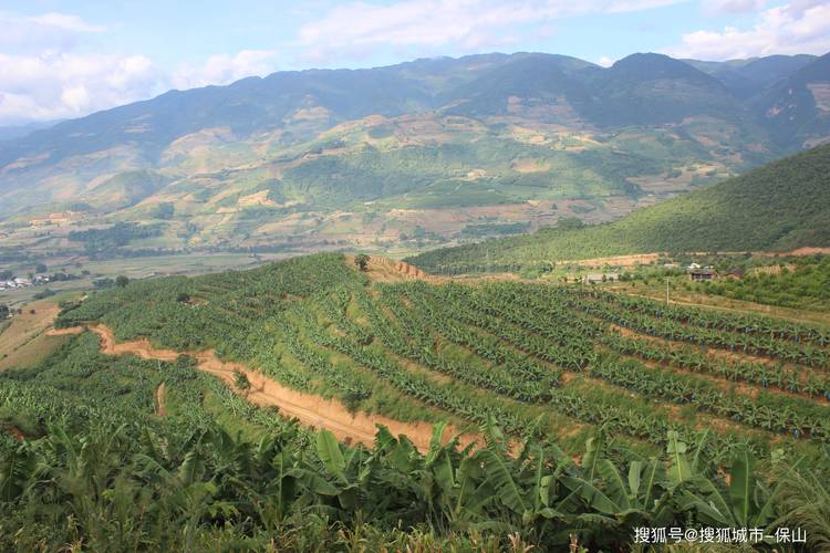 土地种植什么最挣钱，水果种植基地和农园的区别。 土地种植什么最挣钱，水果种植基地和农园的区别。 家禽养殖