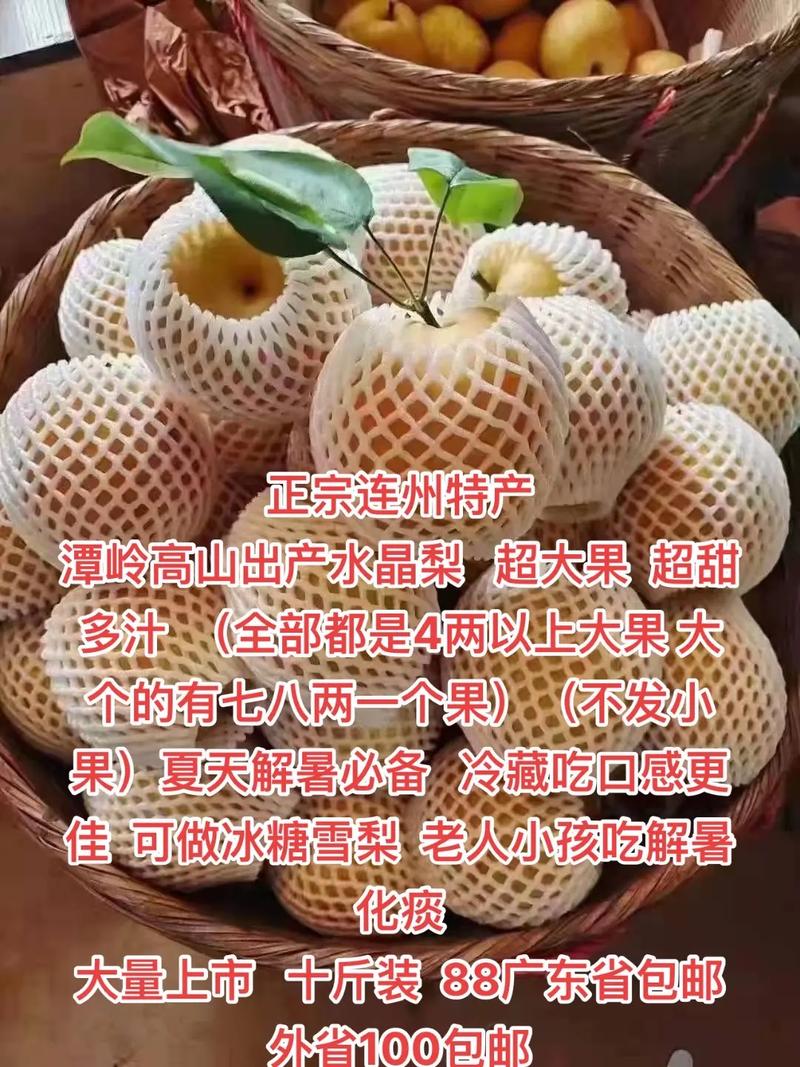 连州特产水果，连南种植水果苗出售信息。 连州特产水果，连南种植水果苗出售信息。 畜牧养殖