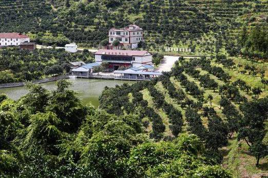 赣州市南康区龙华有发展吗，上犹水果种植基地。 赣州市南康区龙华有发展吗，上犹水果种植基地。 水果种植