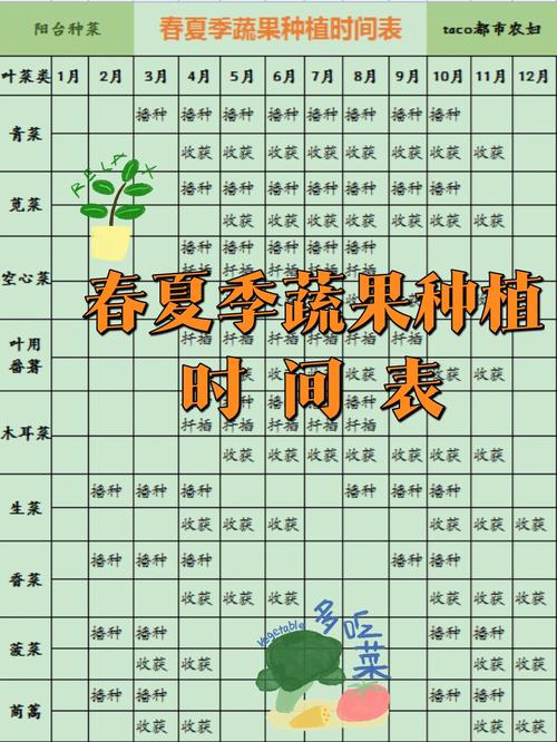 如何在家庭阳台无土栽培种菜，水果种子阳台种植记录表。 如何在家庭阳台无土栽培种菜，水果种子阳台种植记录表。 家禽养殖