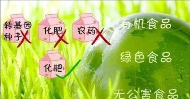 本市的绿色蔬菜水果的种植问题怎样规划，种水果蔬菜怎么种植视频。 本市的绿色蔬菜水果的种植问题怎样规划，种水果蔬菜怎么种植视频。 家禽养殖