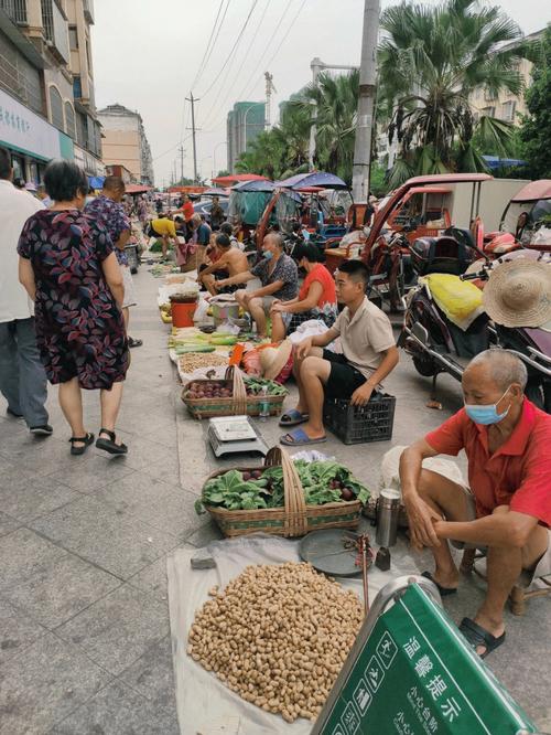 保定最大便民菜市场，保定蔬菜水果种植基地。 保定最大便民菜市场，保定蔬菜水果种植基地。 蔬菜种植