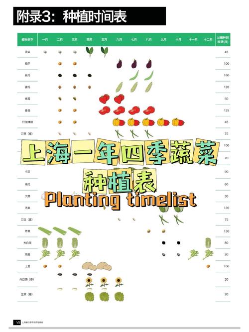 农场一年四季种什么蔬菜，蔬菜水果种植大全。 农场一年四季种什么蔬菜，蔬菜水果种植大全。 畜牧养殖