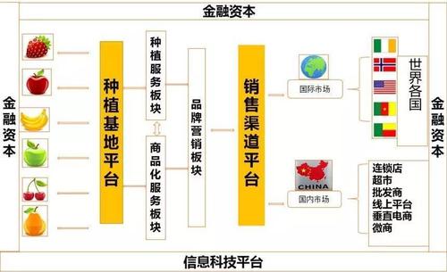 百果园是如何做到现在这个规模的，天涯水果种植及销售情况。 百果园是如何做到现在这个规模的，天涯水果种植及销售情况。 家禽养殖