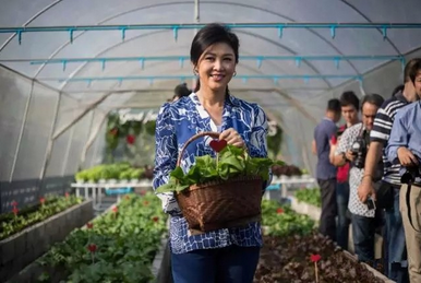 为什么台湾种植花卉蔬菜增多，美女在台湾种植水果图片。 为什么台湾种植花卉蔬菜增多，美女在台湾种植水果图片。 家禽养殖