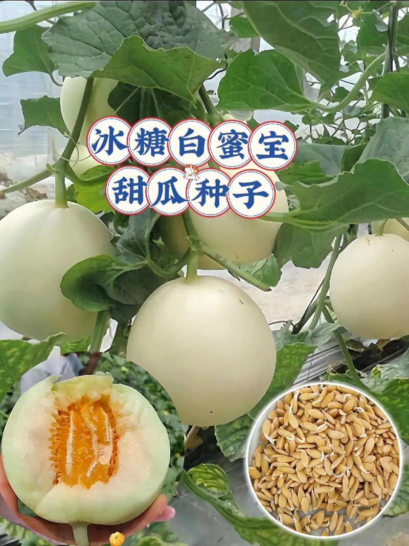 夏天开的水果有哪些，种植水果夏天可以种吗。 夏天开的水果有哪些，种植水果夏天可以种吗。 畜牧养殖