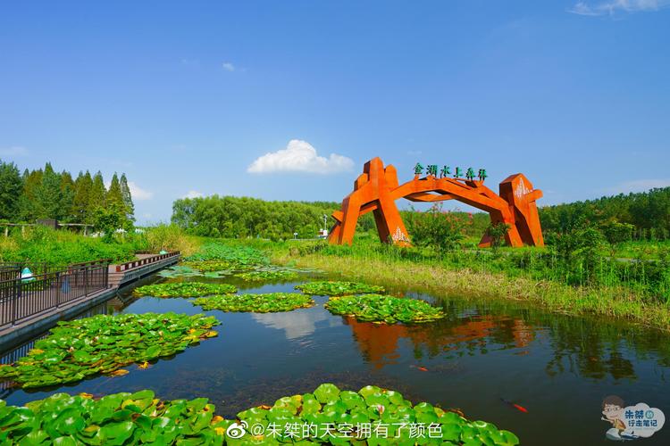 金湖县哪些地方好玩，淮安水果莲蓬种植基地在哪里。 金湖县哪些地方好玩，淮安水果莲蓬种植基地在哪里。 水果种植