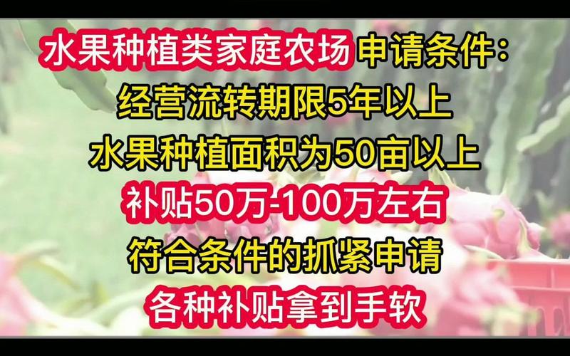 2024家庭农场种植水果有补贴吗，农业水果种植补贴政策。 2024家庭农场种植水果有补贴吗，农业水果种植补贴政策。 家禽养殖