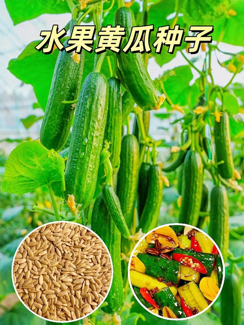 明年瓜菜全国各地种植面积大吗，种植水果大户赚钱吗。 明年瓜菜全国各地种植面积大吗，种植水果大户赚钱吗。 水果种植