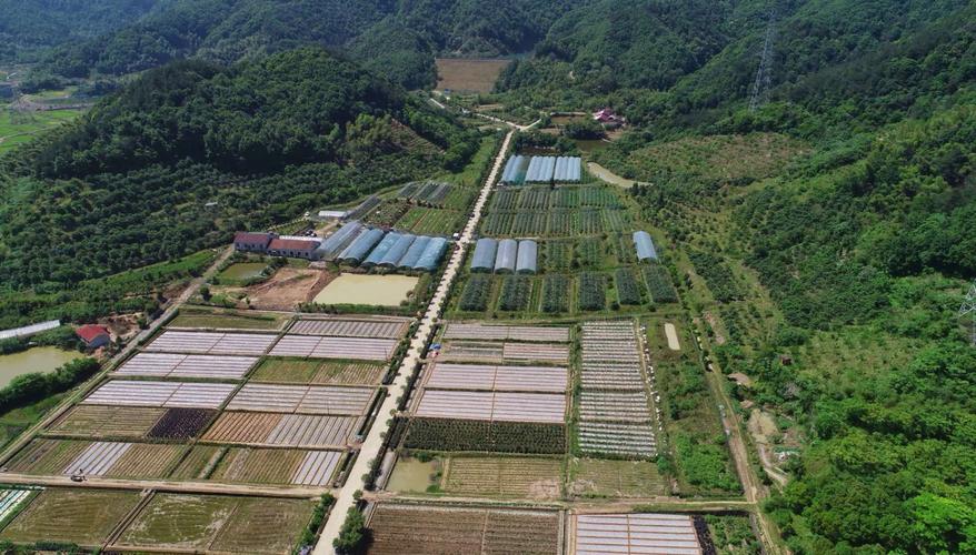 哪里有小型家庭农场，小型水果种植基地在哪里。 哪里有小型家庭农场，小型水果种植基地在哪里。 蔬菜种植