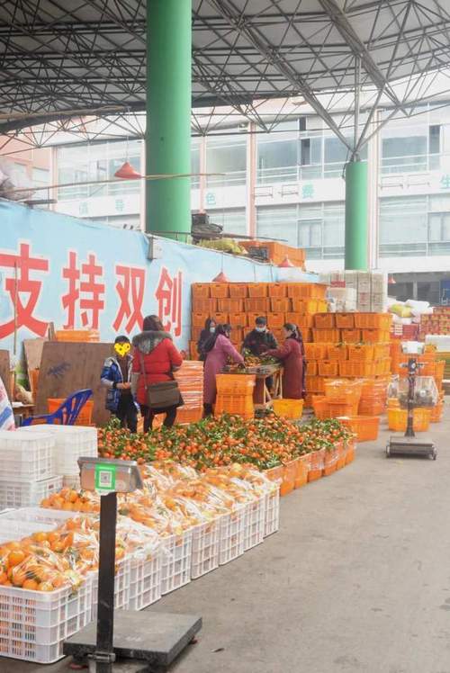 乐山最大水果批发市场，乐山水果种植面积多少亩。 乐山最大水果批发市场，乐山水果种植面积多少亩。 蔬菜种植