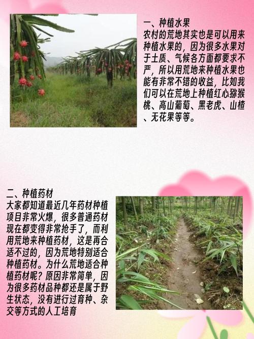 在农村，怎样种水果或养殖能挣到钱，农村搞水果种植赚钱吗。 在农村，怎样种水果或养殖能挣到钱，农村搞水果种植赚钱吗。 家禽养殖