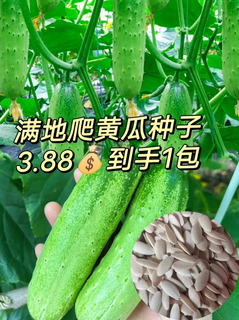 五种很快种植的水果，种植什么水果发芽快些呢。 五种很快种植的水果，种植什么水果发芽快些呢。 水果种植