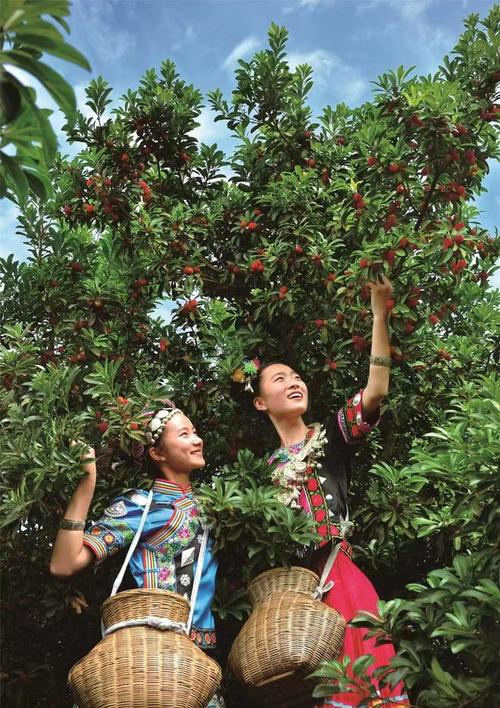 湖南产的水果有哪些，靖州水果种植面积多大平方米。 湖南产的水果有哪些，靖州水果种植面积多大平方米。 畜牧养殖