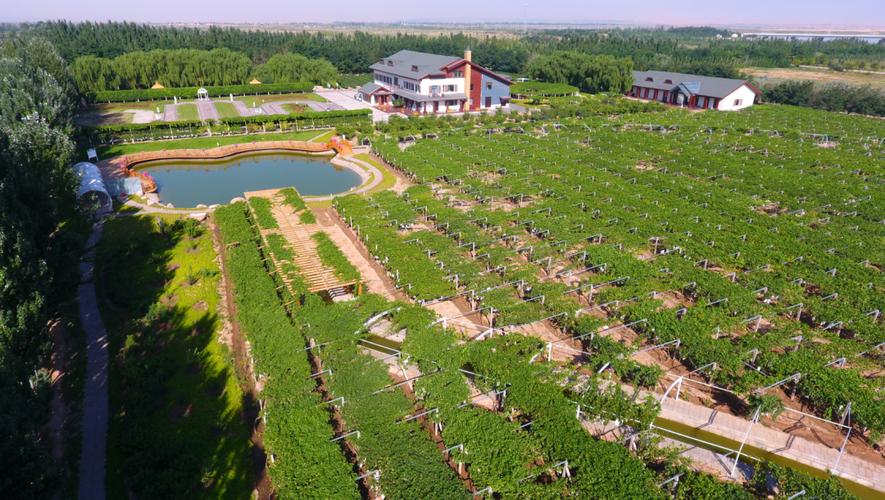 你的家乡有什么旅游的好地方呢，乌兰浩特水果种植基地。 你的家乡有什么旅游的好地方呢，乌兰浩特水果种植基地。 家禽养殖