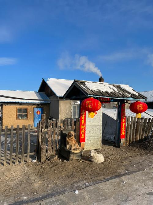 黑龙江漠河的人在冰天雪地下是如何生活的，额尔古纳河水果种植面积。 黑龙江漠河的人在冰天雪地下是如何生活的，额尔古纳河水果种植面积。 水果种植