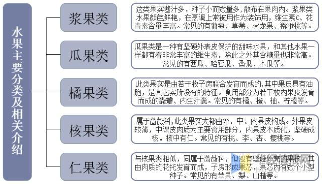 “仁果类和核果类水果种植行业”现在发展状况怎样？未来有何新的创业空间，市场水果种植方案。 “仁果类和核果类水果种植行业”现在发展状况怎样？未来有何新的创业空间，市场水果种植方案。 土壤施肥