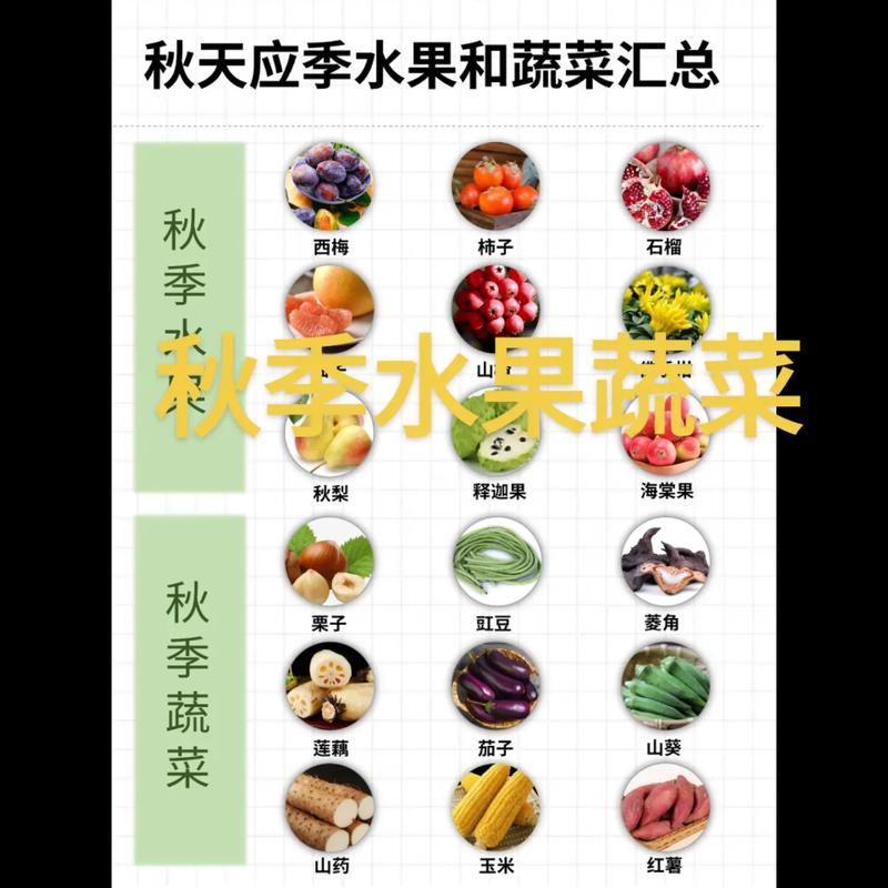 秋季卖什么蔬菜好卖，种植什么蔬菜水果好卖呢。 秋季卖什么蔬菜好卖，种植什么蔬菜水果好卖呢。 土壤施肥