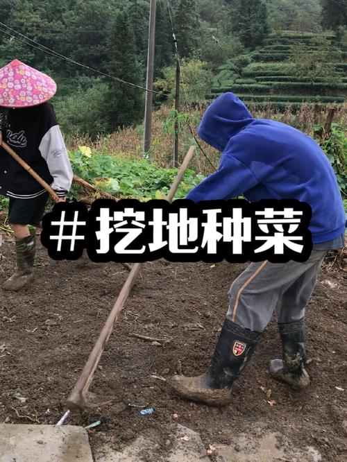 农村在自家宅旁、路边种菜、种花合法吗，未经允许的水果种植怎么处罚。 农村在自家宅旁、路边种菜、种花合法吗，未经允许的水果种植怎么处罚。 土壤施肥