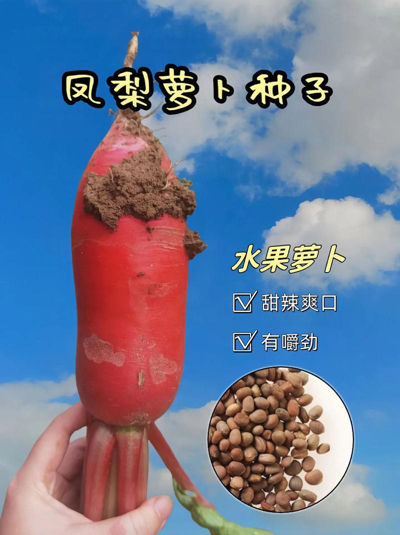 什么水果的种子最易发芽，能种植的水果种子有哪些。 什么水果的种子最易发芽，能种植的水果种子有哪些。 土壤施肥